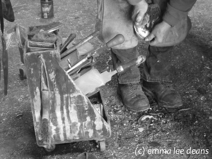 My father, the farrier