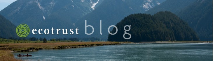 Ecotrust is a nonprofit committed to creating more resilient ecosystems & economies. 